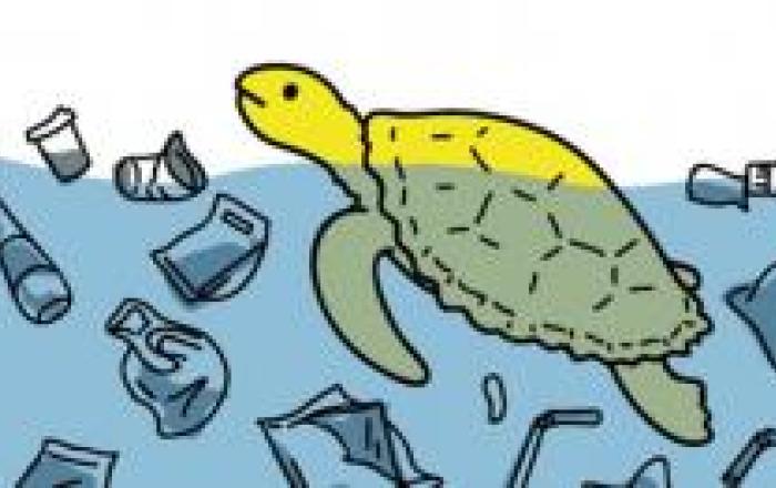 plastica inquinamento mare