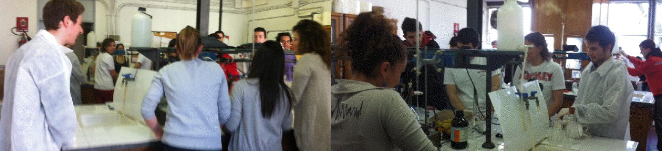 Studenti al Lavoro! Laboratorio Didattico